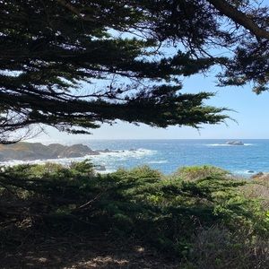 Meet your Posher, Amelia